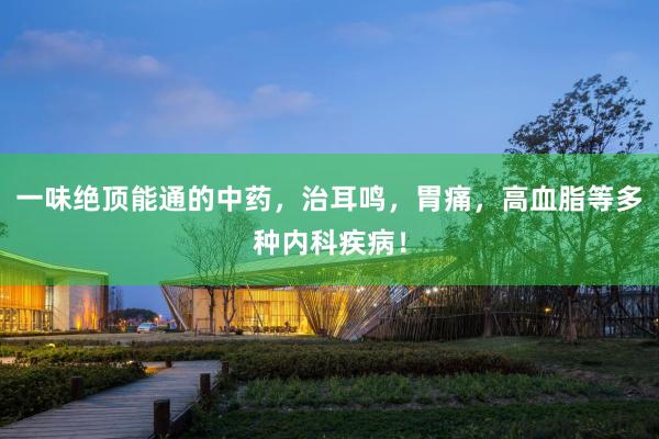 一味绝顶能通的中药，治耳鸣，胃痛，高血脂等多种内科疾病！