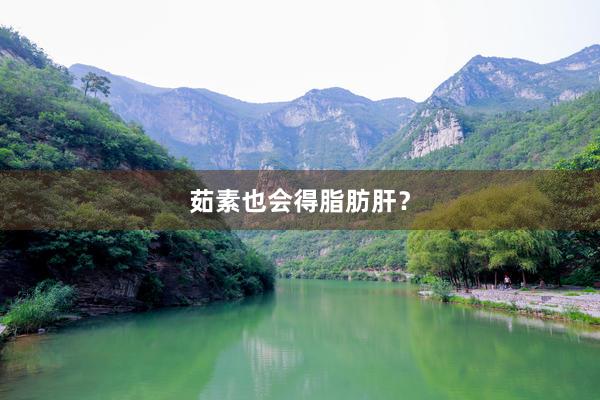 茹素也会得脂肪肝？
