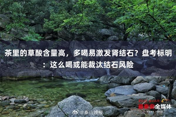 茶里的草酸含量高，多喝易激发肾结石？盘考标明：这么喝或能裁汰结石风险