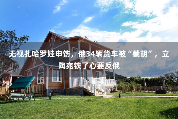 无视扎哈罗娃申饬，俄34辆货车被“截胡”，立陶宛铁了心要反俄