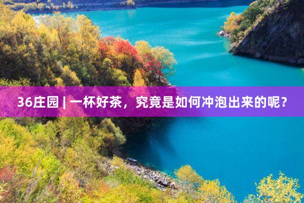 36庄园 | 一杯好茶，究竟是如何冲泡出来的呢？
