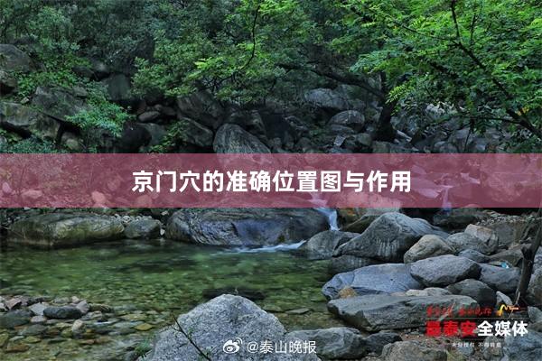 京门穴的准确位置图与作用