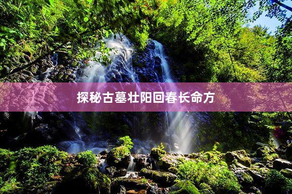 探秘古墓壮阳回春长命方