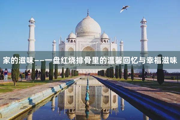 家的滋味——一盘红烧排骨里的温馨回忆与幸福滋味