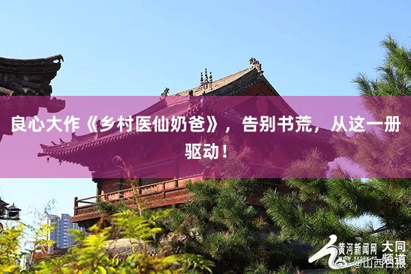 良心大作《乡村医仙奶爸》，告别书荒，从这一册驱动！