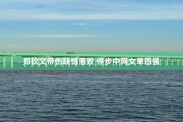 郑钦文带伤缺憾落败 停步中网女单四强