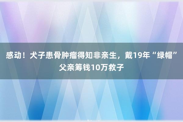 感动！犬子患骨肿瘤得知非亲生，戴19年“绿帽”父亲筹钱10万救子