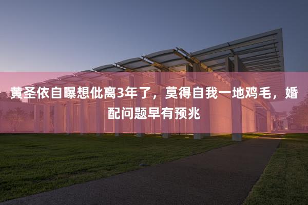 黄圣依自曝想仳离3年了，莫得自我一地鸡毛，婚配问题早有预兆
