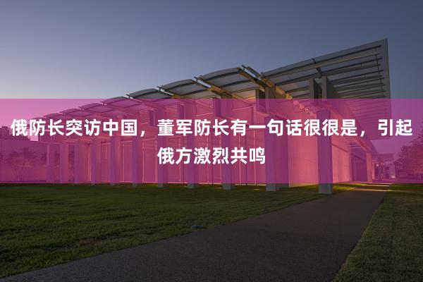 俄防长突访中国，董军防长有一句话很很是，引起俄方激烈共鸣