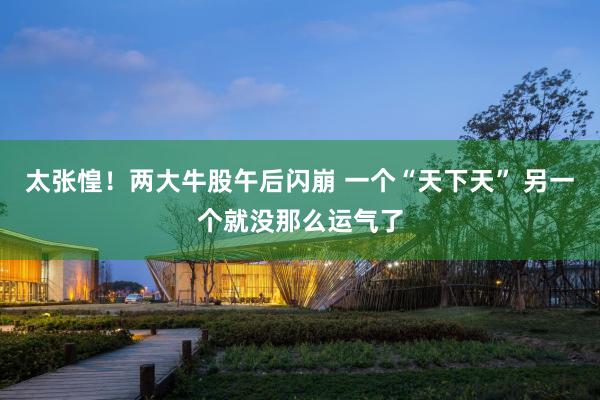 太张惶！两大牛股午后闪崩 一个“天下天” 另一个就没那么运气了