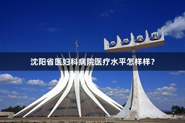 沈阳省医妇科病院医疗水平怎样样？
