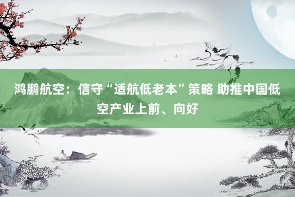 鸿鹏航空：信守“适航低老本”策略 助推中国低空产业上前、向好