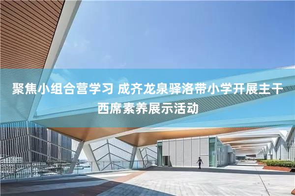 聚焦小组合营学习 成齐龙泉驿洛带小学开展主干西席素养展示活动