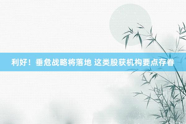 利好！垂危战略将落地 这类股获机构要点存眷
