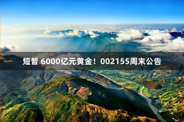 短暂 6000亿元黄金！002155周末公告
