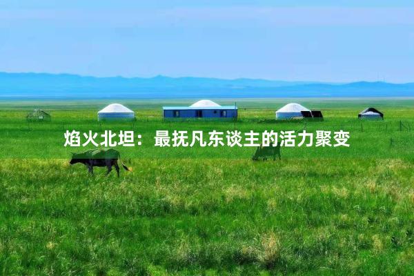焰火北坦：最抚凡东谈主的活力聚变