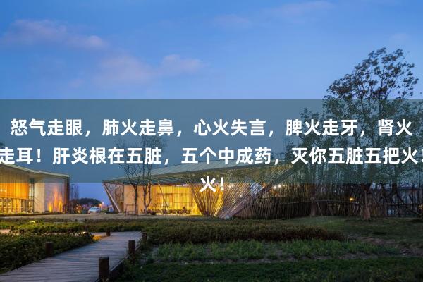 怒气走眼，肺火走鼻，心火失言，脾火走牙，肾火走耳！肝炎根在五脏，五个中成药，灭你五脏五把火！
