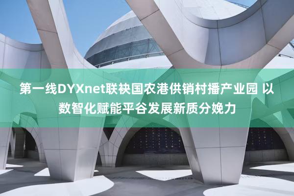 第一线DYXnet联袂国农港供销村播产业园 以数智化赋能平谷发展新质分娩力