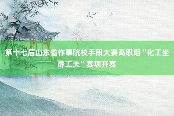 第十七届山东省作事院校手段大赛高职组“化工坐蓐工夫”赛项开赛
